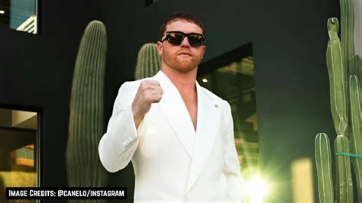 How rich is Canelo?