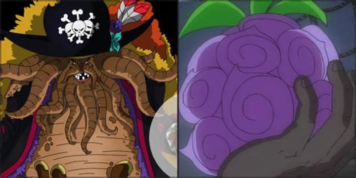 Is there only one Devil Fruit?