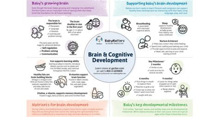 What foods develop baby's brain?