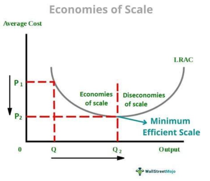 What is the most efficient economic system?